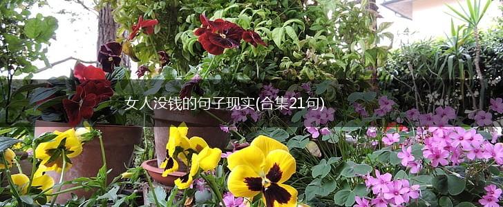 女人没钱的句子现实(合集21句),第1张