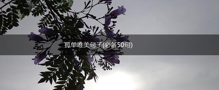 孤单唯美句子(必备50句),第1张