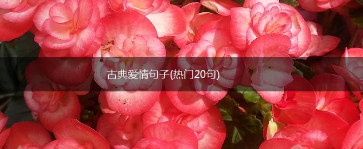 古典爱情句子(热门20句),第1张