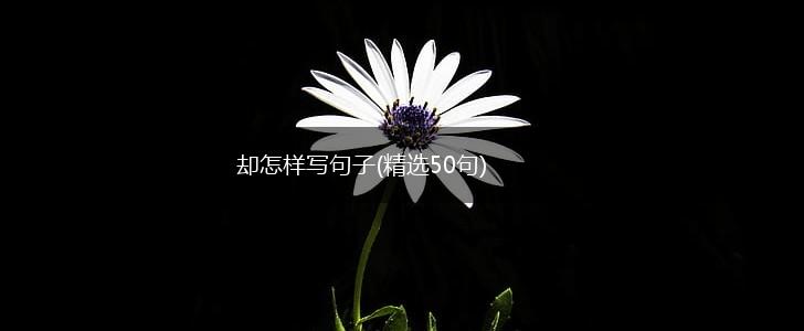 却怎样写句子(精选50句),第1张