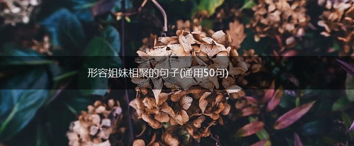 形容姐妹相聚的句子(通用50句),第1张