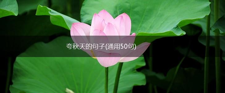夸秋天的句子(通用50句),第1张