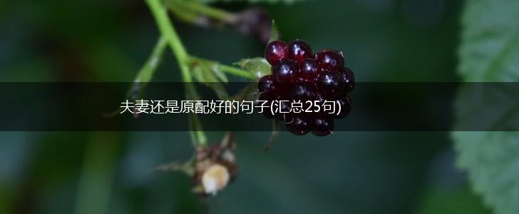 夫妻还是原配好的句子(汇总25句),第1张