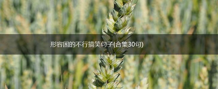形容困的不行搞笑句子(合集30句),第1张