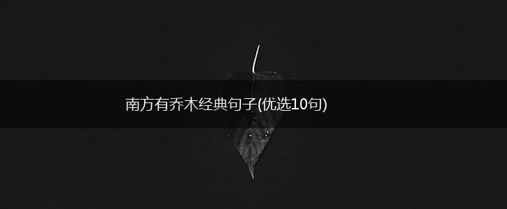 南方有乔木经典句子(优选10句),第1张