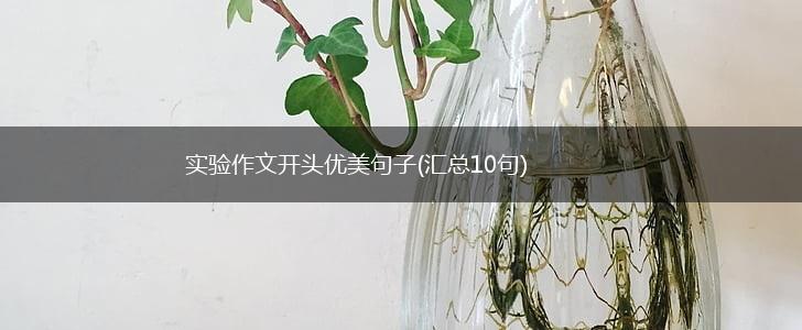 实验作文开头优美句子(汇总10句),第1张