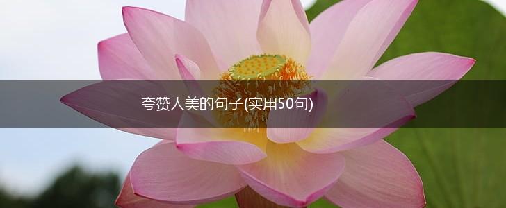 夸赞人美的句子(实用50句),第1张