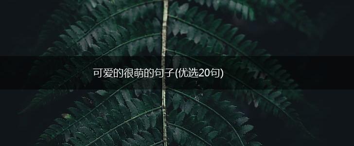 可爱的很萌的句子(优选20句),第1张