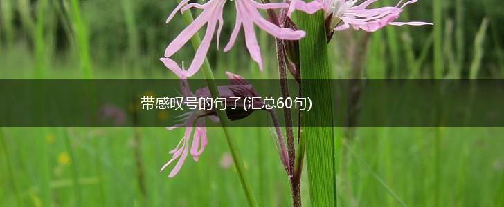 带感叹号的句子(汇总60句),第1张
