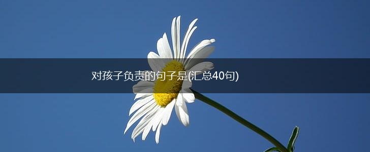 对孩子负责的句子是(汇总40句),第1张