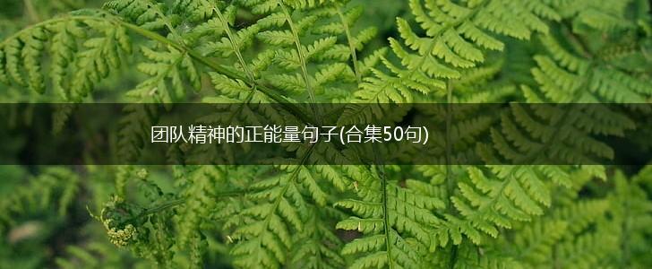 团队精神的正能量句子(合集50句),第1张