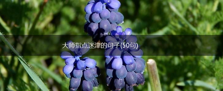 大师指点迷津的句子(50句),第1张