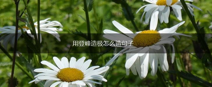 用登峰造极怎么造句子,第1张