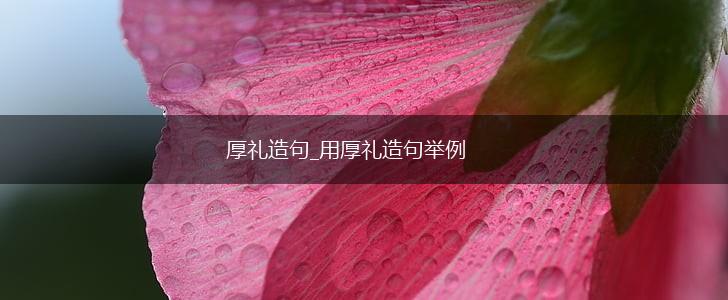 厚礼造句_用厚礼造句举例,第1张 厚礼造句_用厚礼造句举例,第1张