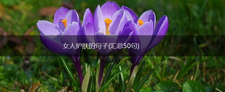 女人护肤的句子(汇总50句),第1张