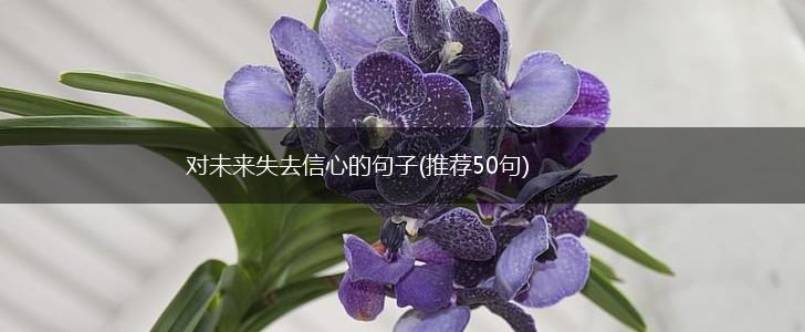 对未来失去信心的句子(推荐50句),第1张
