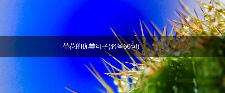 带花的优美句子(必备60句),第1张