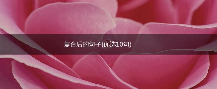 复合后的句子(优选10句),第1张