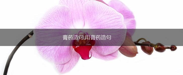 膏药造句,用膏药造句,第1张 膏药造句,用膏药造句,第1张