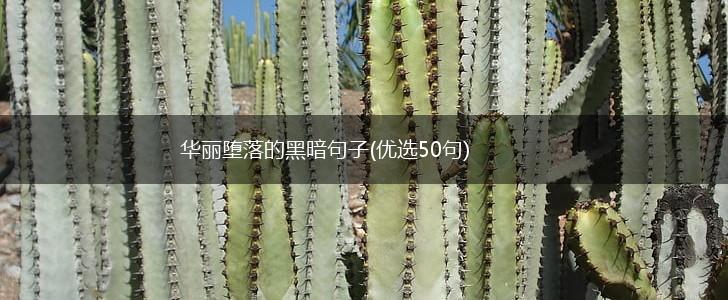 华丽堕落的黑暗句子(优选50句),第1张