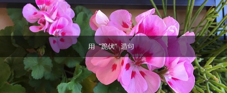 用“跪伏”造句,第1张 用“跪伏”造句,第1张