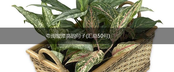 夸闺蜜漂亮的句子(汇总50句),第1张