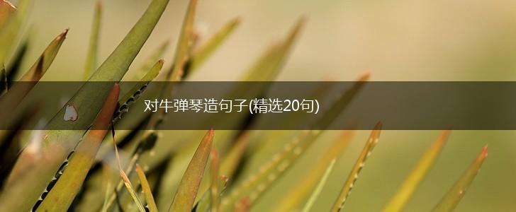 对牛弹琴造句子(精选20句),第1张