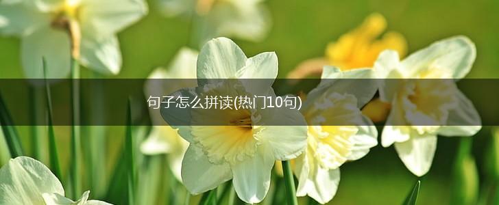 句子怎么拼读(热门10句),第1张