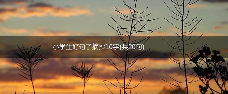 小学生好句子摘抄10字(共20句),第1张