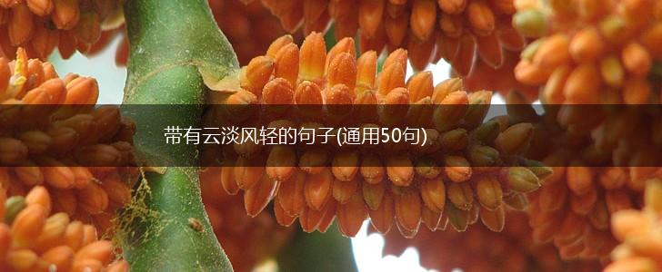 带有云淡风轻的句子(通用50句),第1张