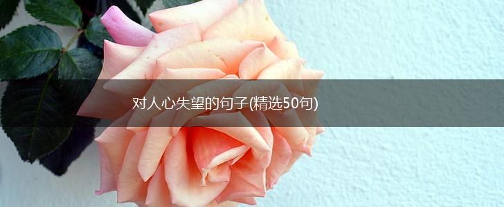 对人心失望的句子(精选50句),第1张