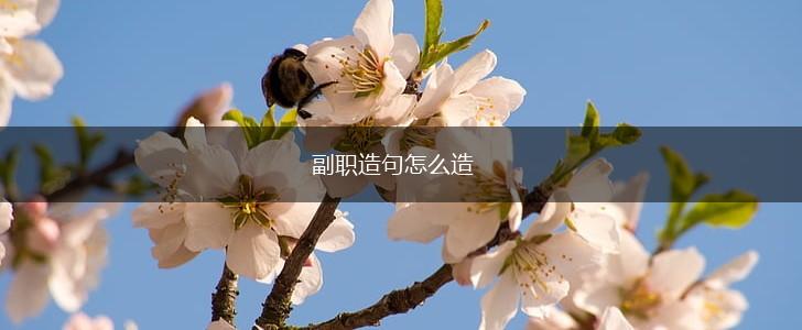 副职造句怎么造,第1张 副职造句怎么造,第1张