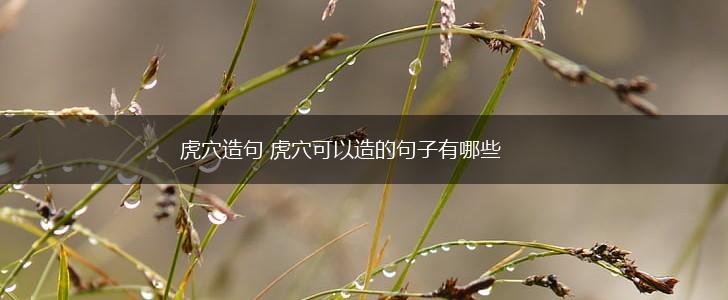 虎穴造句 虎穴可以造的句子有哪些,第1张 虎穴造句 虎穴可以造的句子有哪些,第1张