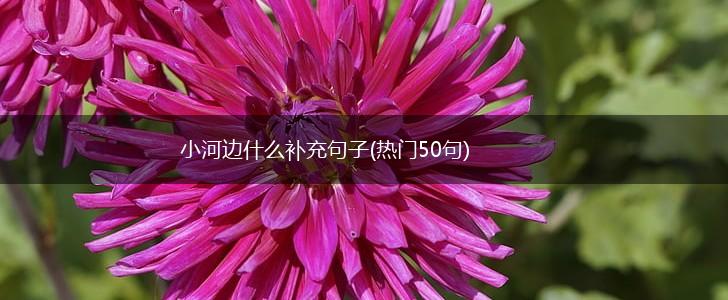 小河边什么补充句子(热门50句),第1张