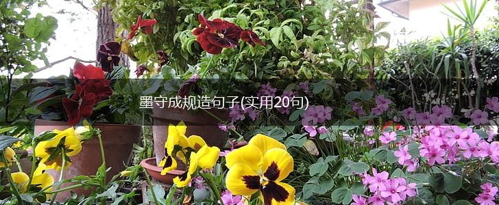 墨守成规造句子(实用20句),第1张