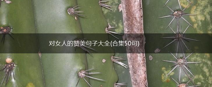 对女人的赞美句子大全(合集50句),第1张