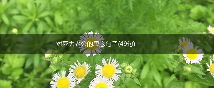 对死去老公的思念句子(49句),第1张