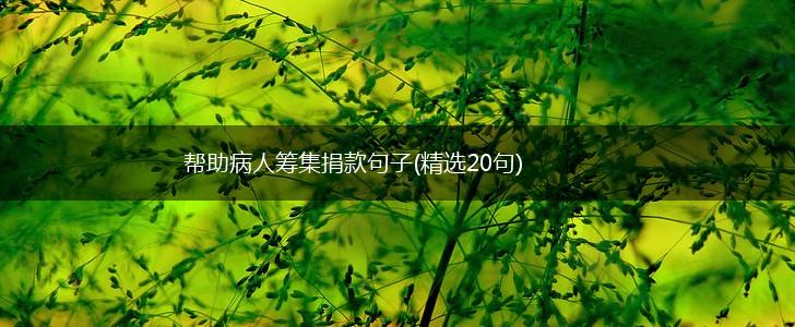 帮助病人筹集捐款句子(精选20句),第1张