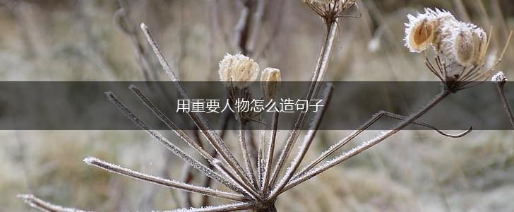 用重要人物怎么造句子,第1张