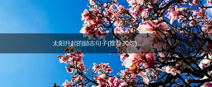 太阳升起的励志句子(推荐30句),第1张