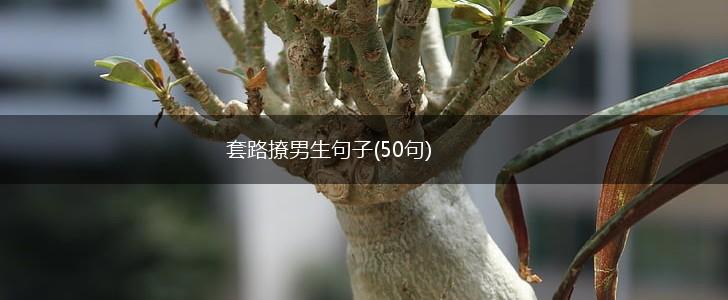 套路撩男生句子(50句),第1张