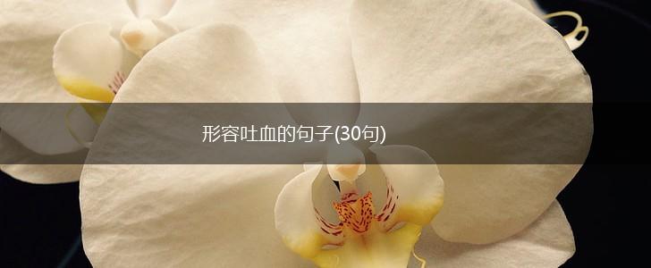 形容吐血的句子(30句),第1张
