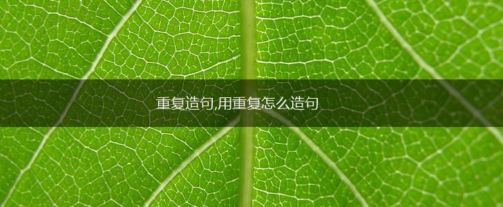 重复造句,用重复怎么造句,第1张