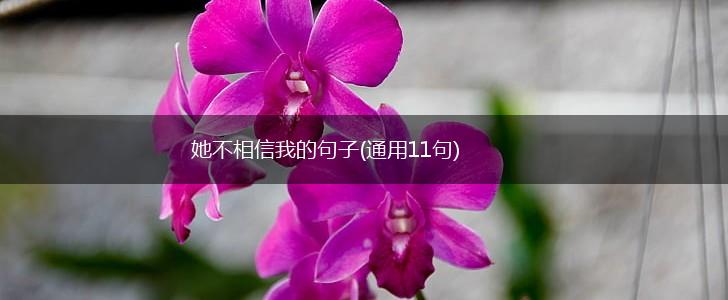 她不相信我的句子(通用11句),第1张