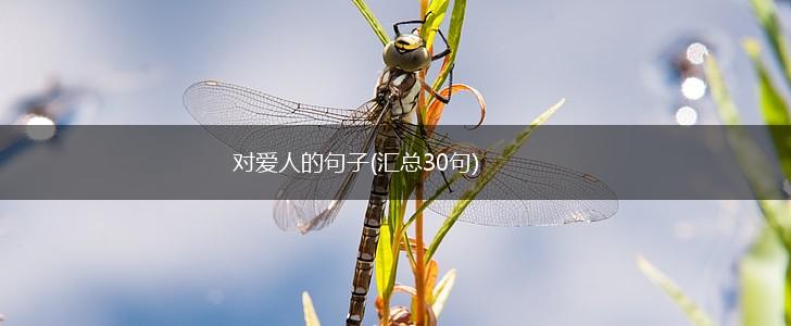 对爱人的句子(汇总30句),第1张