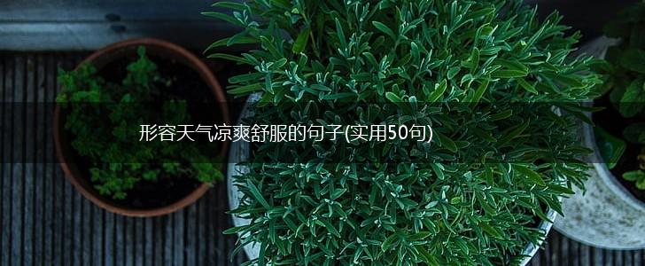 形容天气凉爽舒服的句子(实用50句),第1张