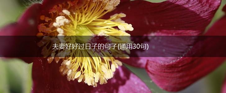 夫妻好好过日子的句子(通用30句),第1张
