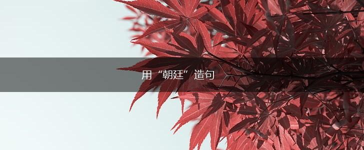 用“朝廷”造句,第1张