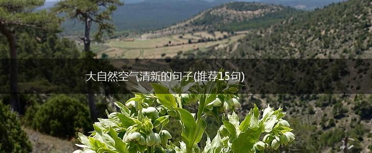 大自然空气清新的句子(推荐15句),第1张