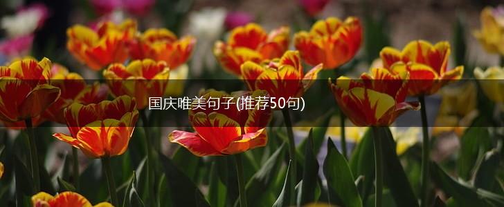 国庆唯美句子(推荐50句),第1张